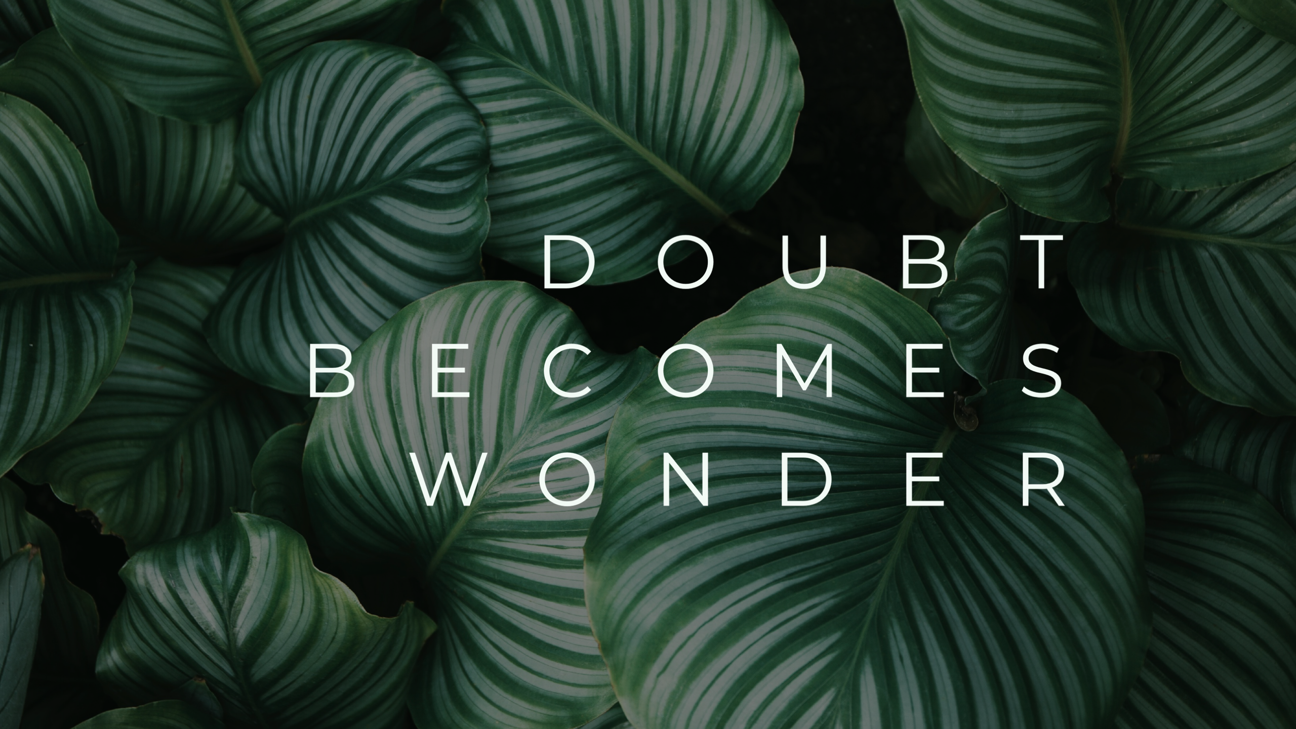 Doubt Becomes Wonder